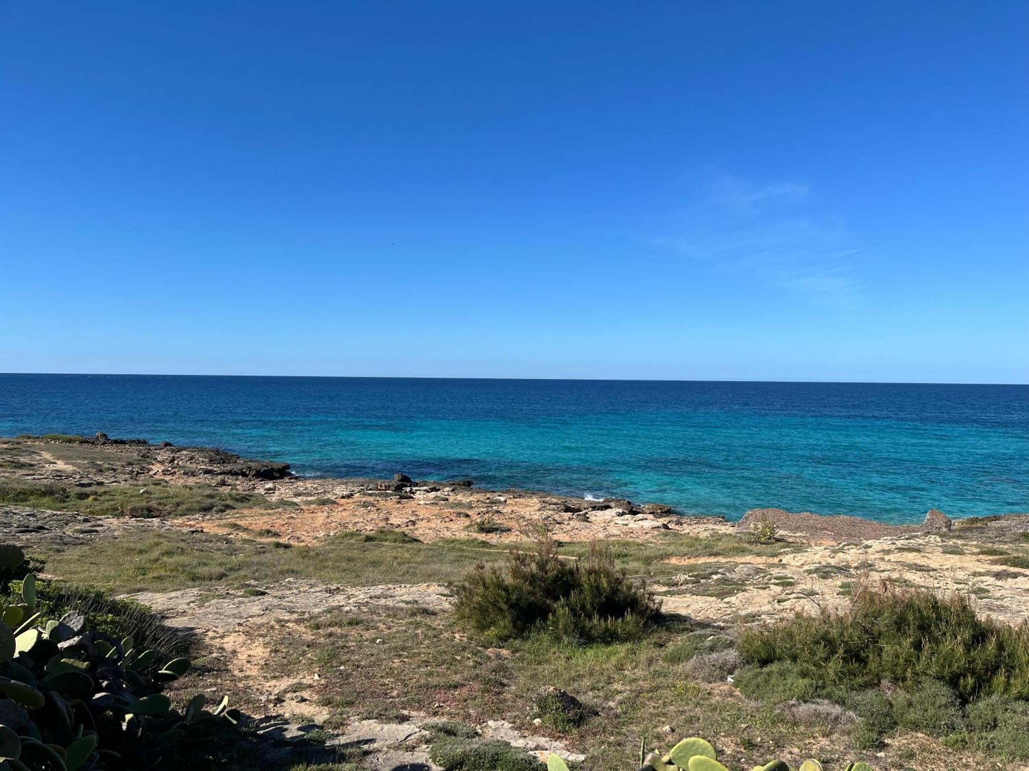 Salento Appartamento Luna Marina di Mancaversa Eksteriør bilde